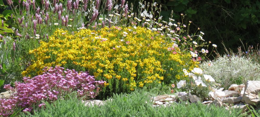 Jardin méditerranéen