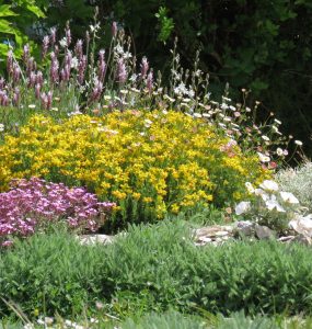 Jardin méditerranéen
