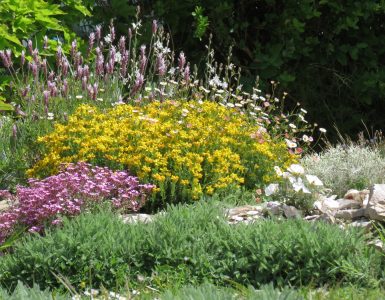 Jardin méditerranéen