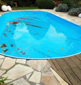 algues dans une piscine