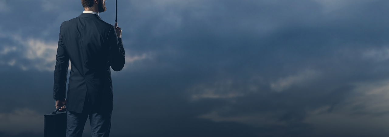 responsabilité civile professionnelle