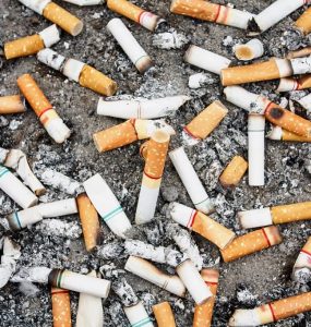 megot cigarette